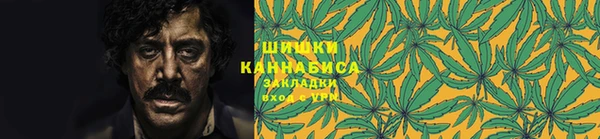 гашик Арсеньев