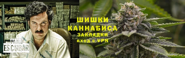 каннабис Аркадак